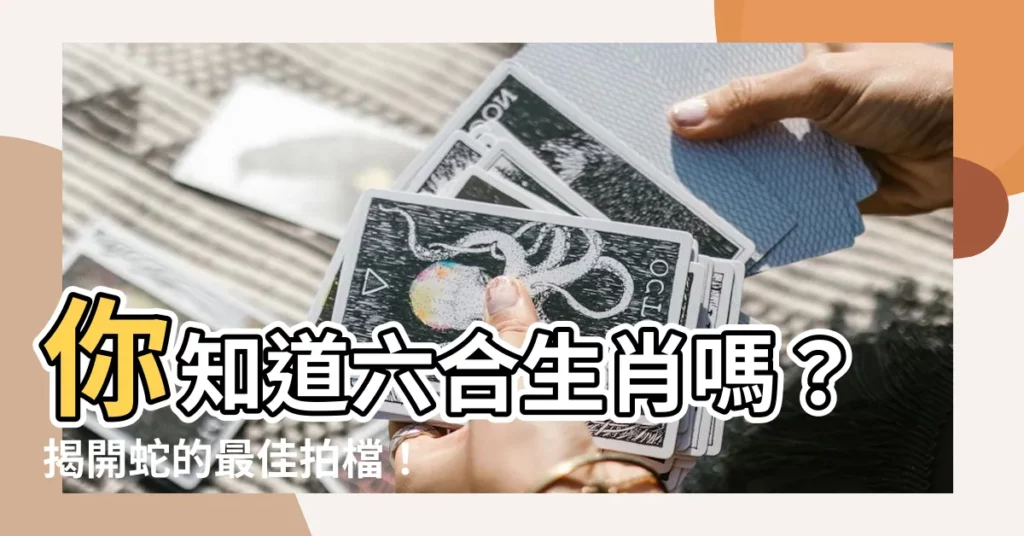 【蛇六合生肖】你知道六合生肖嗎？揭開蛇的最佳拍檔！