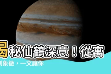 【仙鶴意思】揭秘仙鶴深意！從寓意到象徵，一文讓你懂透徹！