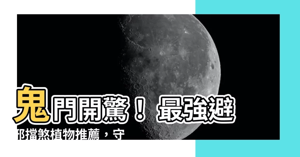 【避邪擋煞植物】鬼門開驚！ 最強避邪擋煞植物推薦，守衞家宅平安