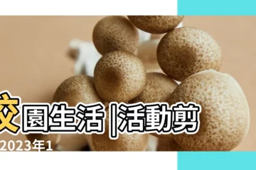【2018揚歷11.11日生日好嗎】校園生活 |活動剪影 |2023年11月11日出生時間看命運 |
