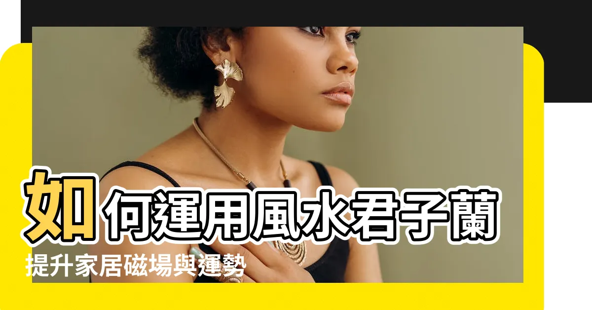 【風水君子蘭】如何運用風水君子蘭提升家居磁場與運勢