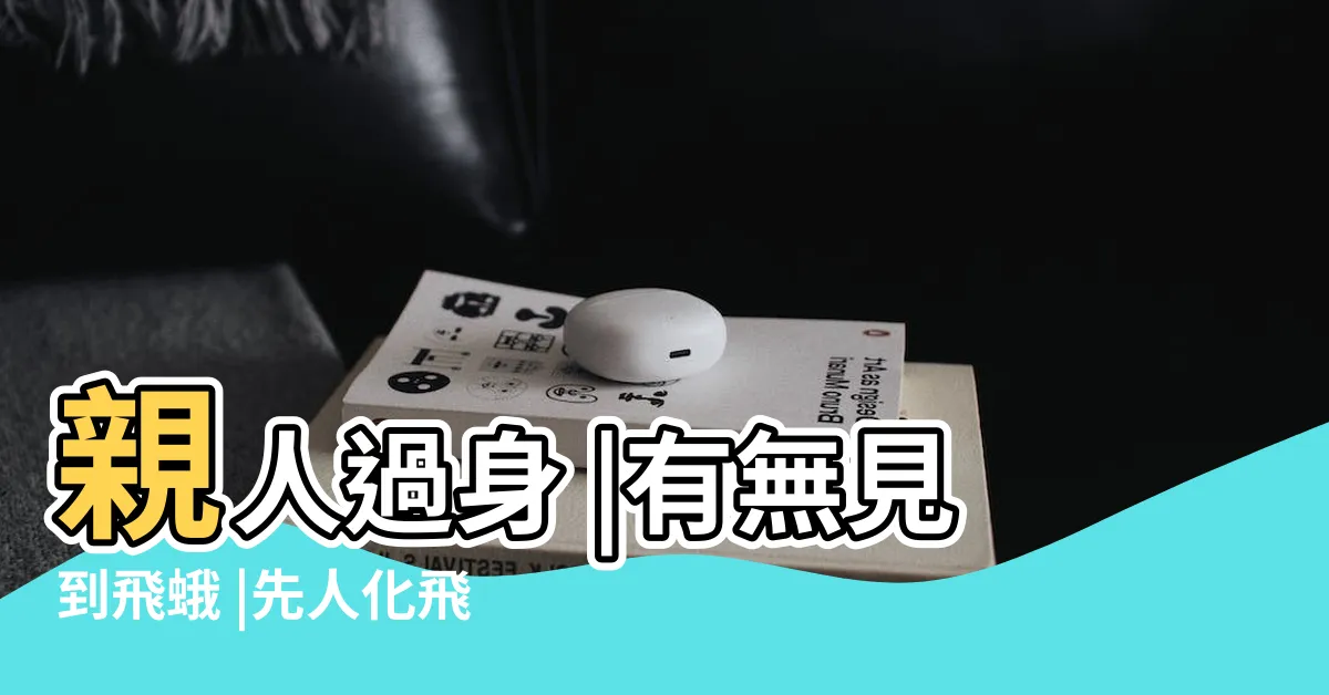 【飛蛾入屋先人】親人過身 |有無見到飛蛾 |先人化飛蛾 |