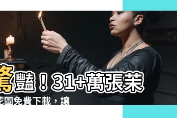 【茉莉花圖】驚豔！31+萬張茉莉花圖免費下載，讓你的設計更添芬芳