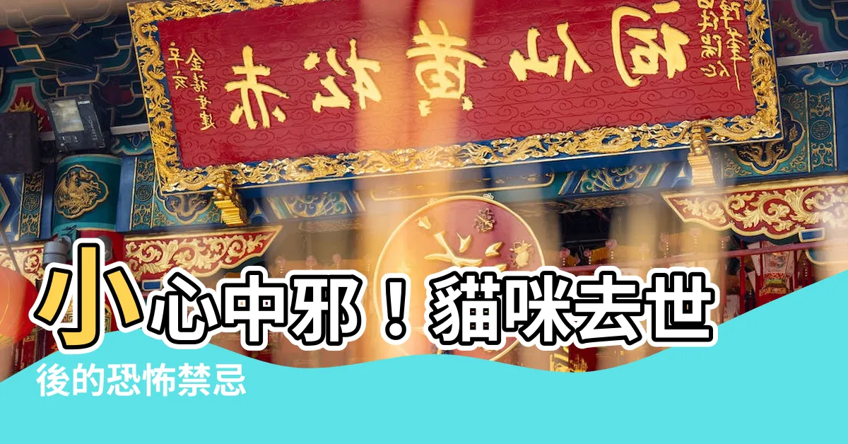 【死貓禁忌】小心中邪！貓咪去世後的恐怖禁忌