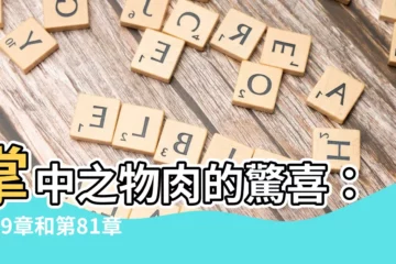 【掌中之物肉】掌中之物肉的驚喜：第79章和第81章內容精彩解析