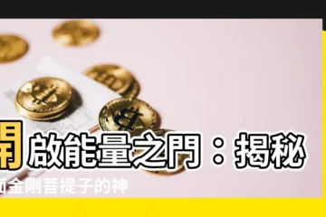 【五面金剛菩提子】開啟能量之門：揭秘五面金剛菩提子的神秘力量