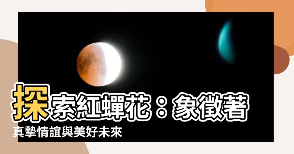 【紅蟬花花語】探索紅蟬花：象徵著真摯情誼與美好未來的花語