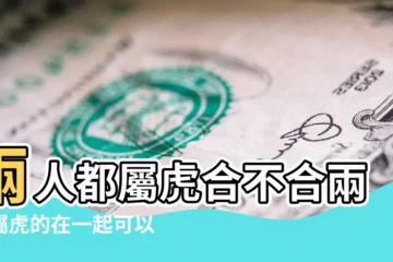 【生肖虎的兩個人在一起可以嗎】兩人都屬虎合不合兩個屬虎的在一起可以嗎相沖嗎 |兩個屬虎的人適合做夫妻嗎兩人都屬虎能在一起嗎 |兩個屬虎的人能結婚嗎 |