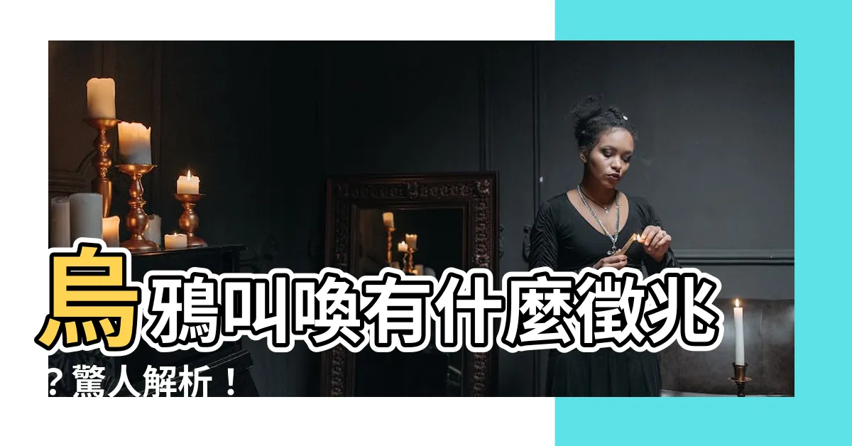 【烏鴉叫】烏鴉叫喚有什麼徵兆？驚人解析！