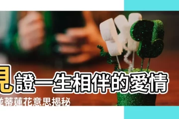【並蒂蓮花意思】見證一生相伴的愛情！並蒂蓮花意思揭秘
