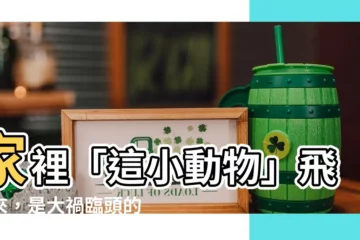 【家裡有小鳥飛進來】家裡「這小動物」飛進來，是大禍臨頭的徵兆，恐有人陽壽將盡！