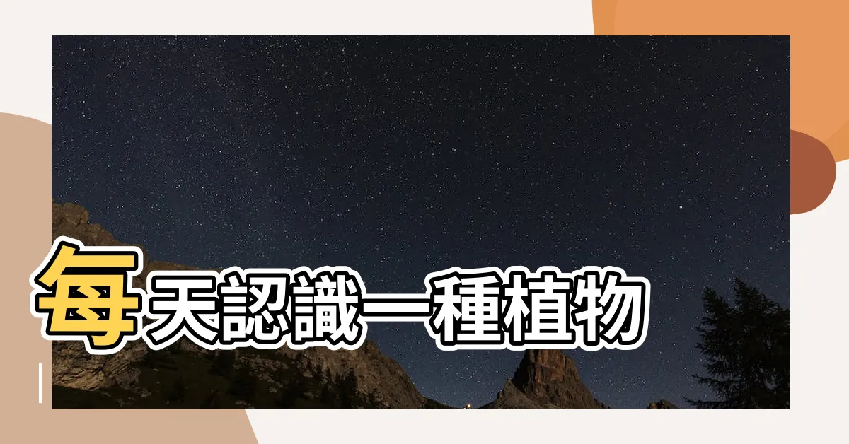 【monstera中文】每天認識一種植物 |