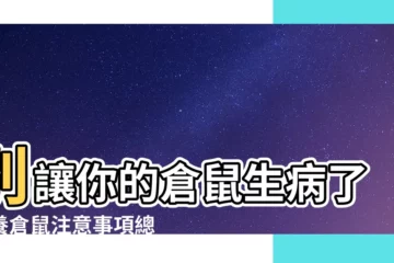 【養倉鼠要注意什麼】別讓你的倉鼠生病了！養倉鼠注意事項總整理