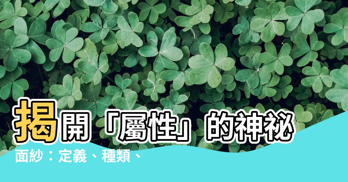 【屬性 意思】揭開「屬性」的神秘面紗：定義、種類、實用性一次搞懂