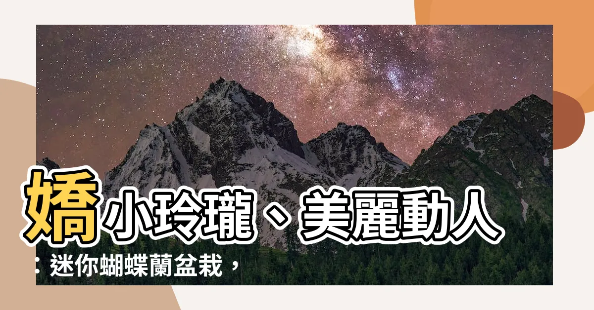 【迷你蝴蝶蘭】嬌小玲瓏、美麗動人：迷你蝴蝶蘭盆栽，點綴您的生活空間