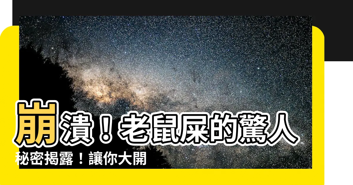 【老鼠 屎】崩潰！老鼠屎的驚人秘密揭露！讓你大開眼界的屎山真相！