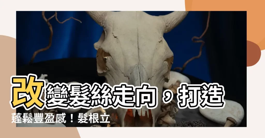 【改變頭髮分線】改變髮絲走向，打造蓬鬆豐盈感！髮根立體、髮際線不再稀疏