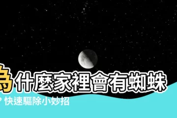 【為什麼會有蜘蛛網】為什麼家裡會有蜘蛛網？快速驅除小妙招！