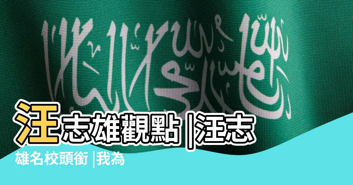 【汪志雄背景】汪志雄觀點 |汪志雄名校頭銜 |我為什麼打從心裡看不起民進黨 |