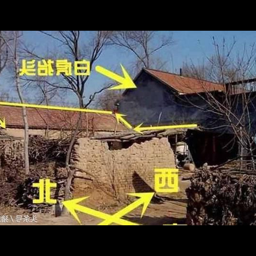 2、什麼是白虎?