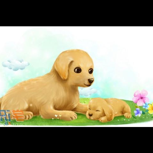 2、狗最富有、最尊貴的出生時間是最好的出生時間