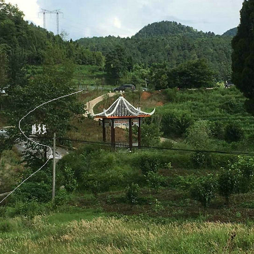 1、楊公是看什麼書來介紹風水的?謝謝