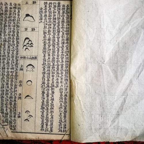 3、女主是風水高手還是算命小說