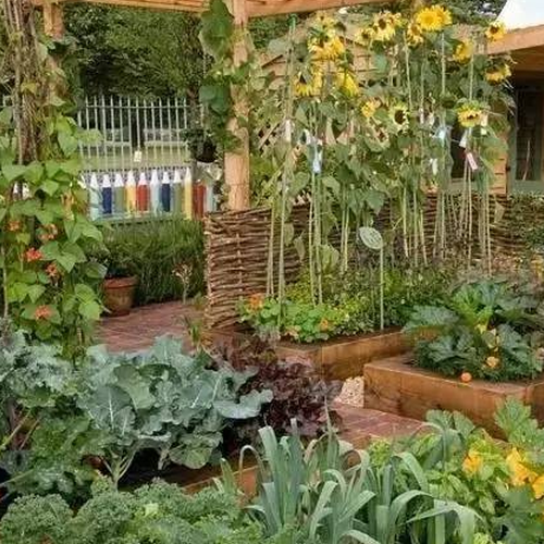 3、我要在院子裡建一個花池你想做防水和排水嗎？怎麼做？ 
