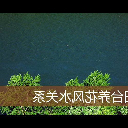 2.陽颱風水的風水禁忌有哪些?