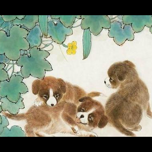 1、猴子和狗是否相容,狗和猴子是否相容?