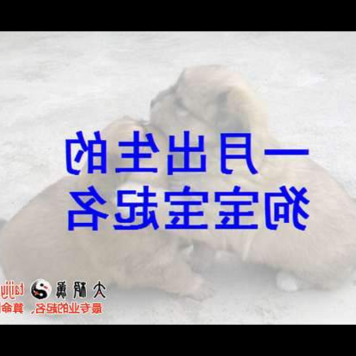 1、給狗寶寶取名王一凡可以嗎,狗年出生的寶寶就應該取名噹噹吧?