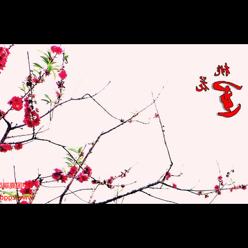 1、風水里的桃花怎麼說