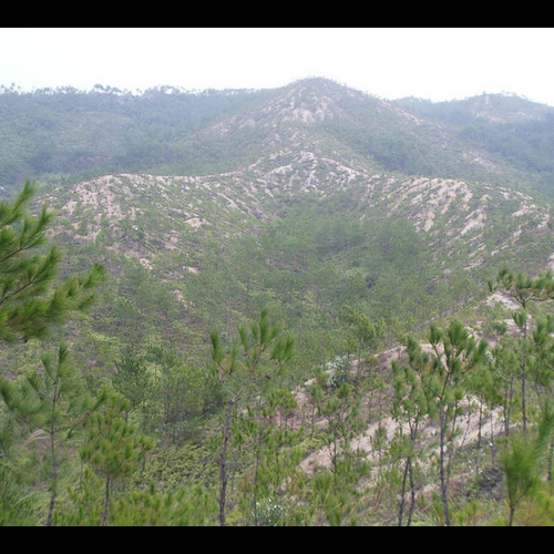 2、哪些墓地出產高官,哪些墓地出產風水人才