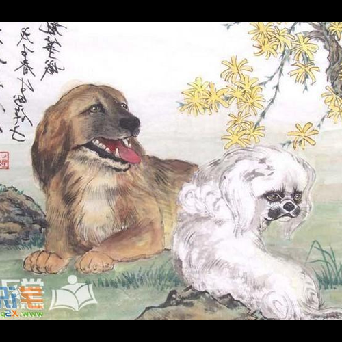 2、屬狗人的財運如何?