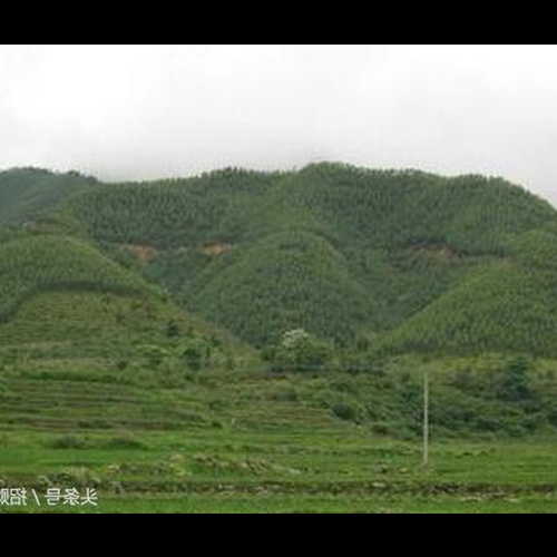 2、屋前山頂的路會影響風水嗎?