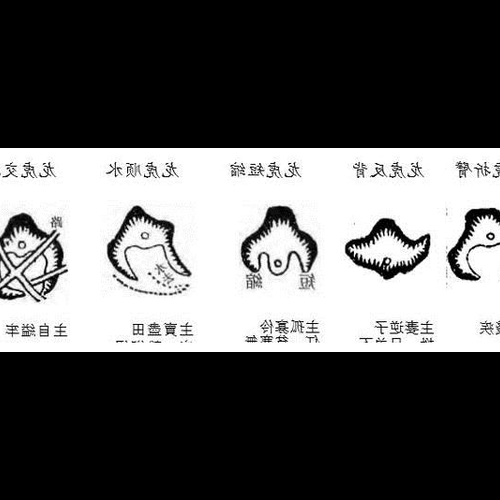 1、風水白虎壓藍龍