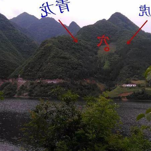 妙的風水青龍與白虎