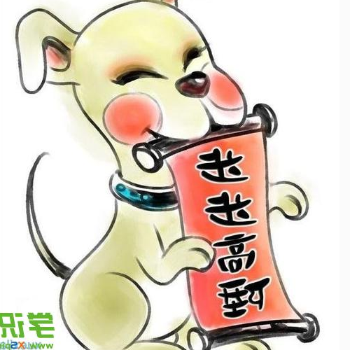 1982年什么生肖適合狗,1982年什么生肖適合狗