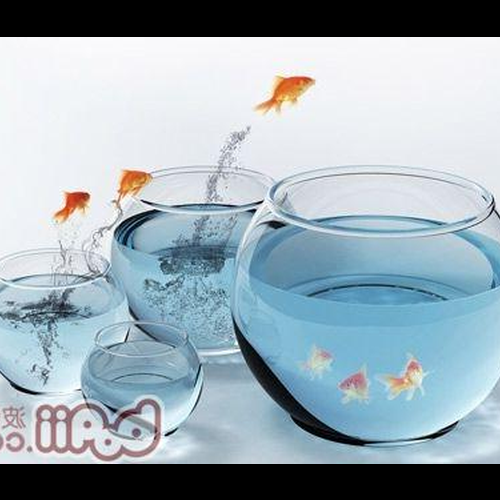 1、辦公室養魚的風水禁忌