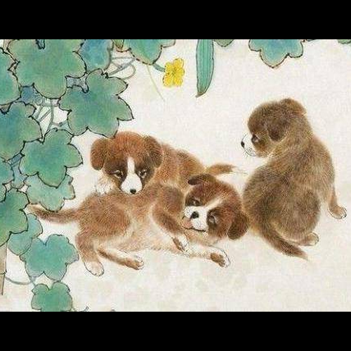 1、屬狗的命運,屬狗的命運,屬狗的財運