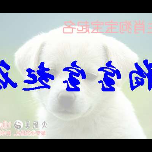 1、狗年是幾月出生的