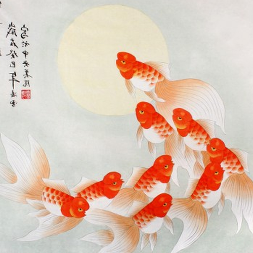 3、分析分析:魚的合適數量是多少?