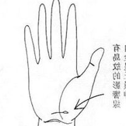 2、看你的手相,你能知道自己的命運嗎?