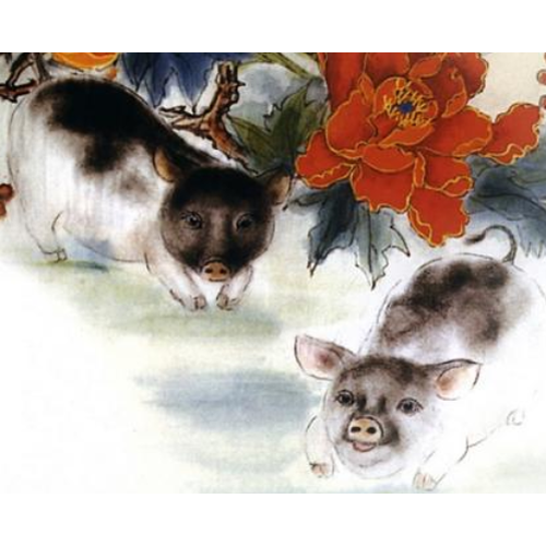 1、猴與豬相配,猴與狗相配嗎?猴子和豬配嗎?