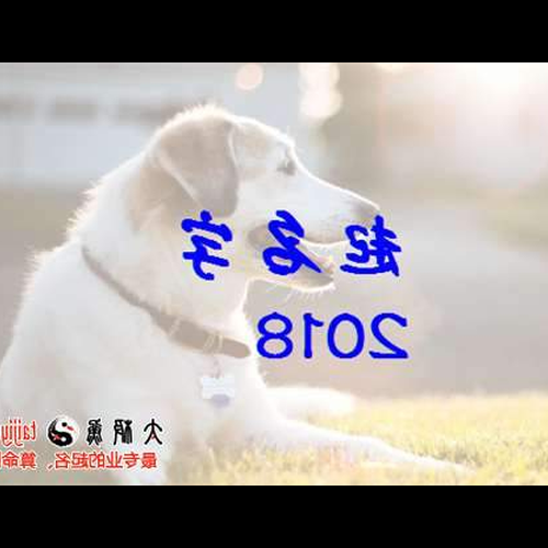 2、給狗起什麼名字最好?