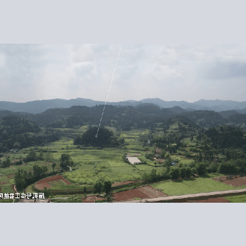 2、劉棟樑雜談風水請教大師,我家把魚養死了,打算養烏龜,大魚缸應該養幾隻烏龜好