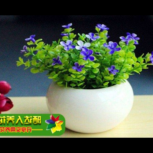 1、家裡的假花會影響風水嗎?