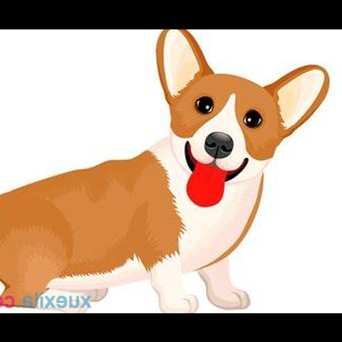 1、狗齡圖:你今年幾歲?