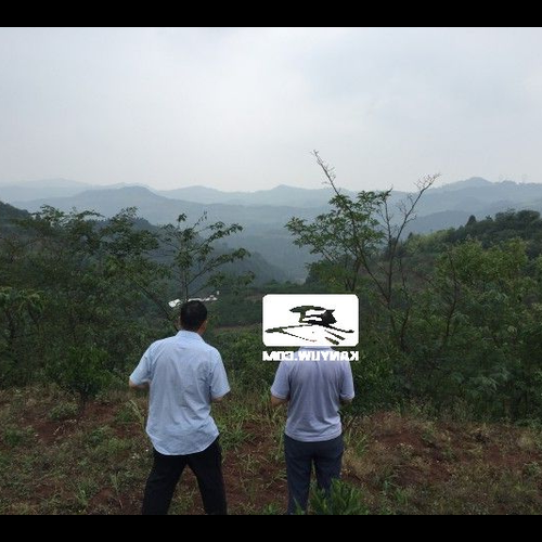 3、請問風水師,離我墳墓一百多米的地方有移動信號塔嗎?