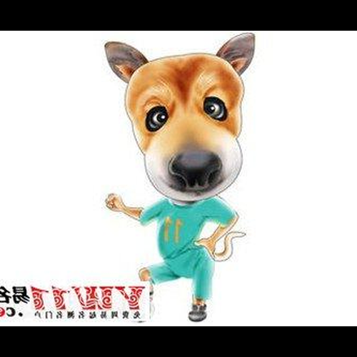 2、狗是哪年出生的?
